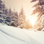 b-portugal-2013-road-trip-gallery-01