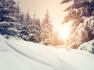 b-portugal-2013-road-trip-gallery-01