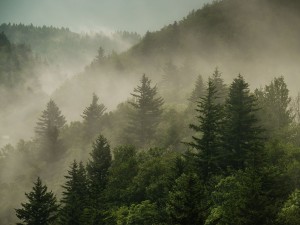 b-portugal-2013-road-trip-gallery-02